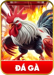 12Play - Link Trang Chủ Không Chặn | Đăng Ký Ngay Nhận 122K! 7 Da Ga