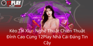 Keo Tai Xiu Nghe Thuat Chien Thuat Dinh Cao Cung 12Play Nha Cai Dang Tin Cay0