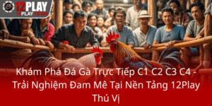 Kham Pha Da Ga Truc Tiep C1 C2 C3 C4 Trai Nghiem Dam Me Tai Nen Tang 12Play Thu Vi0